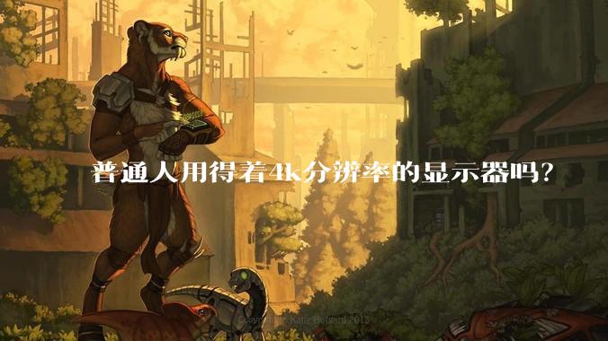 普通人用得着4k分辨率的显示器吗？