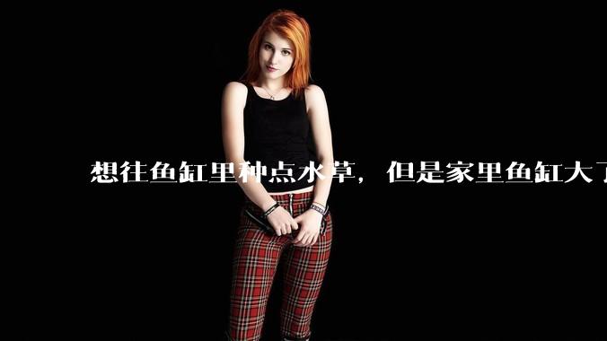 想往鱼缸里种点水草，但是家里鱼缸大了买水草泥或者底砂太贵了，有没有生活中可以替代的物品或其他建议？