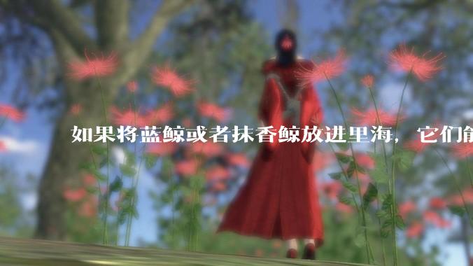 如果将蓝鲸或者抹香鲸放进里海，它们能正常生存与繁衍吗？