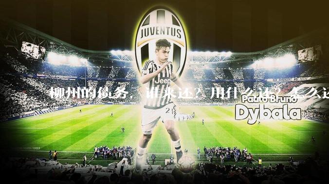 柳州的债务，谁来还？用什么还？怎么还？