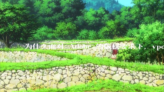 为什么面对 Adobe 的版权要求下，vposy 大神还能从容不迫？