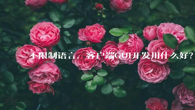 不限制语言，客户端GUI开发用什么好？