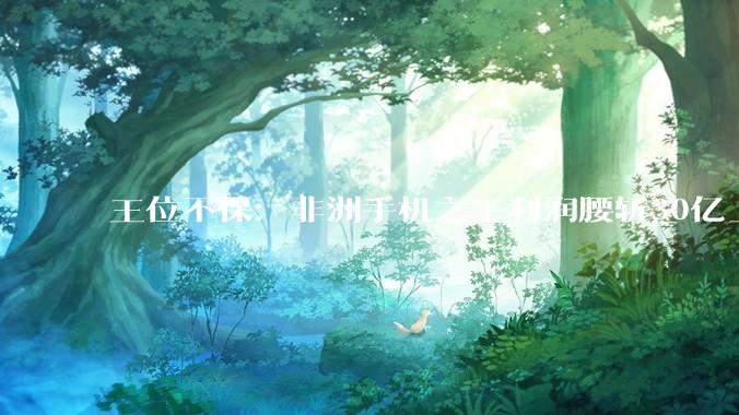 王位不保：非洲手机之王利润腰斩30亿_传音_新兴市场_存储