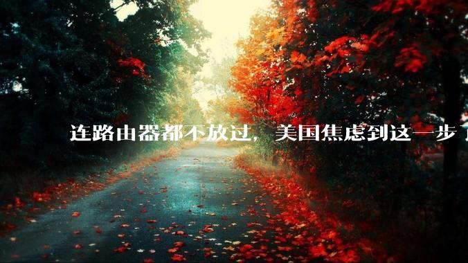 连路由器都不放过，美国焦虑到这一步了_技术_问题_国家