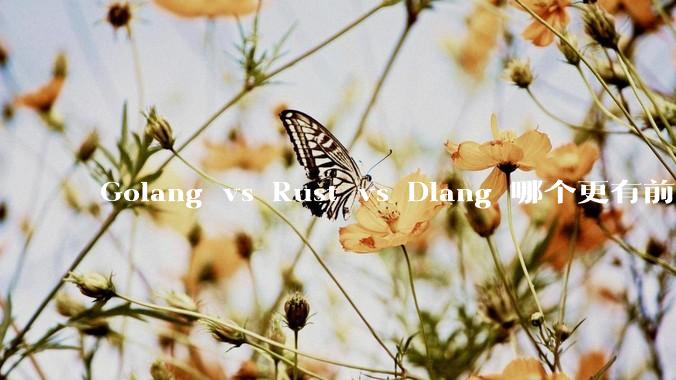 Golang vs Rust vs Dlang 哪个更有前途，哪位大牛这 3 门语言都用过？