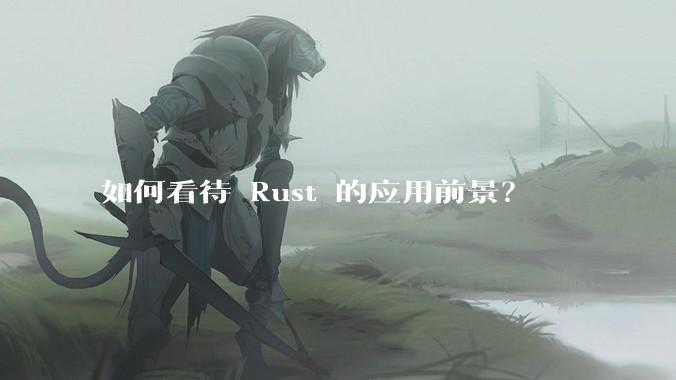 如何看待 Rust 的应用前景？