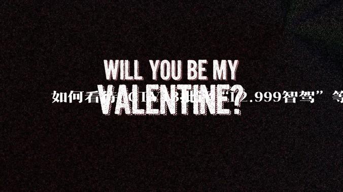 如何看待CCTV13批评“L2.999智驾”等误导性宣传，若导致事故车企可能需要担责？