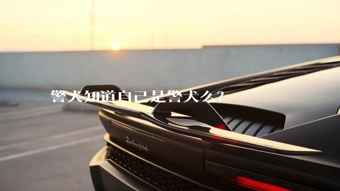 警犬知道自己是警犬么？