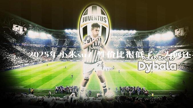 2025年小米su7 性价比很低了，为何还不更新改款？