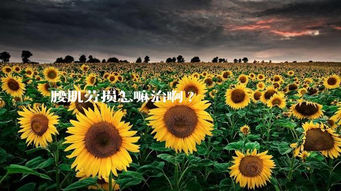 腰肌劳损怎嘛治啊?