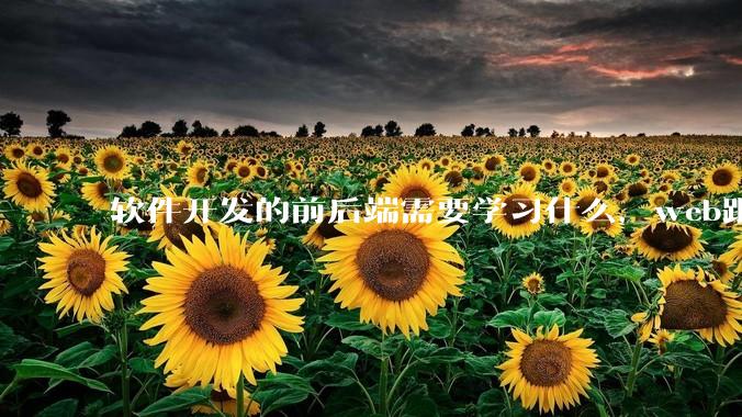 软件开发的前后端需要学习什么，web跟应用程序的关联是什么？