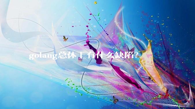 golang总体上有什么缺陷？