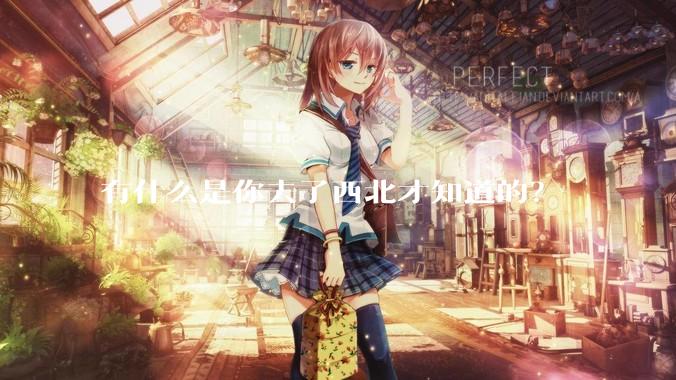 有什么是你去了西北才知道的？