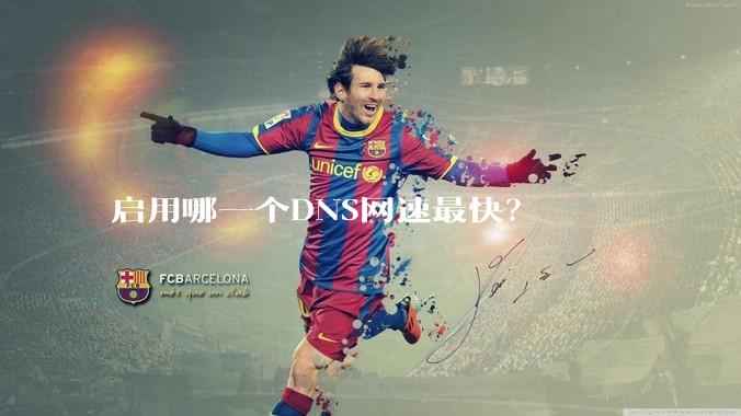 启用哪一个DNS网速最快？